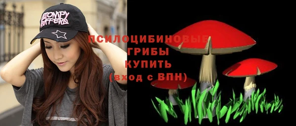 ГАЛЛЮЦИНОГЕННЫЕ ГРИБЫ Нязепетровск