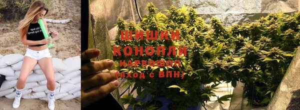 ГАЛЛЮЦИНОГЕННЫЕ ГРИБЫ Нязепетровск
