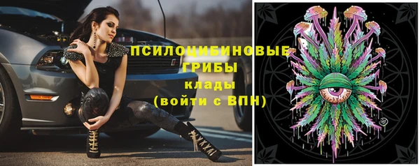 ГАЛЛЮЦИНОГЕННЫЕ ГРИБЫ Нязепетровск