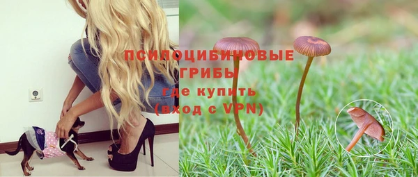 каннабис Няндома
