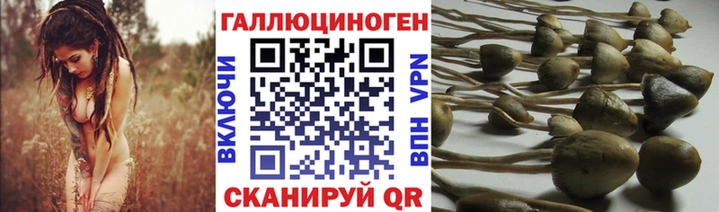 Псилоцибиновые грибы ЛСД  Купить закладки  Кимры 