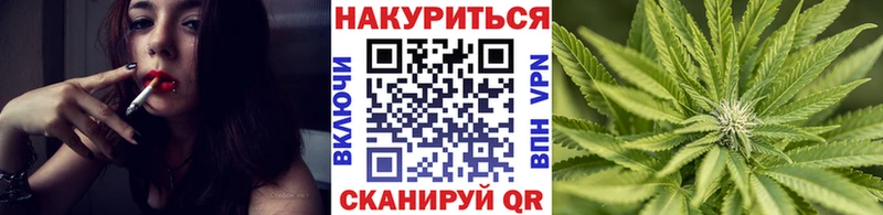 Бошки Шишки планчик  Купить  Кимры 